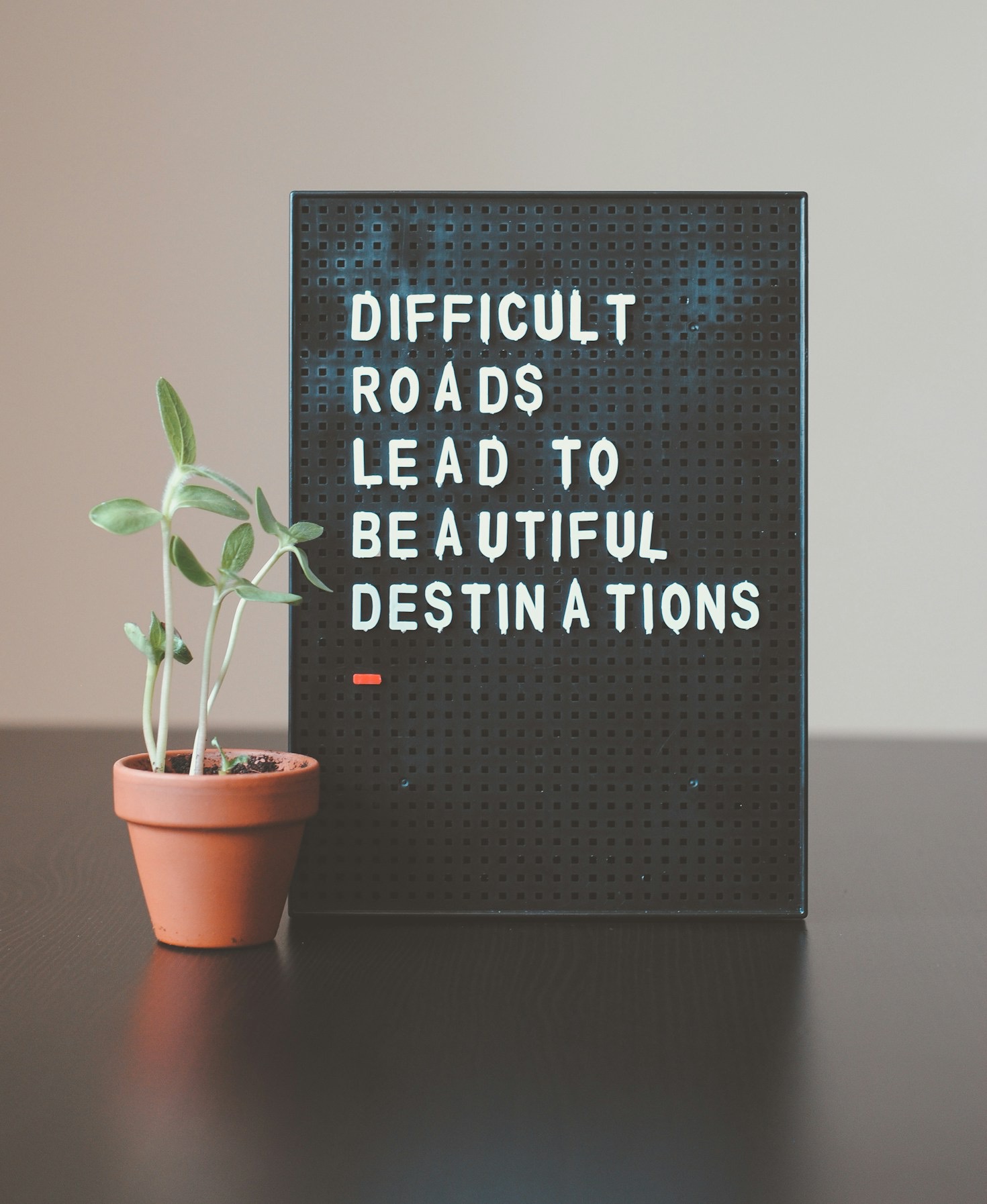 Leadership: Mit Vision und Herz führen